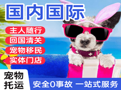 昭通航空空运国际宠物托运 【国